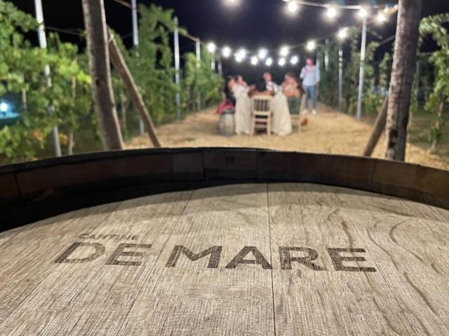 Cantine De Mare - Wine And Resort Cirò Marina Zewnętrze zdjęcie